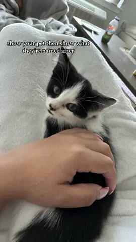 my little Azula 🤍  #azula #avatarthelastairbender #azulaavatar #firenation #petnames 