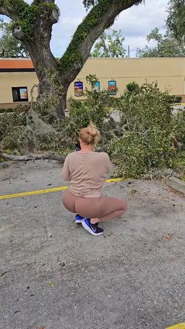 cleanup underway #Florida #Helene #arborist #powerlines 