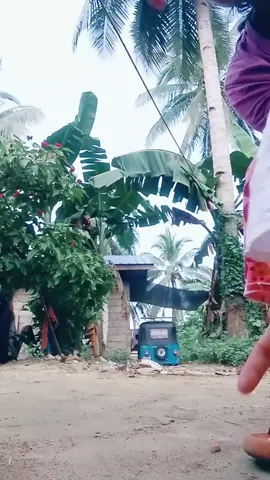 looya sa bata