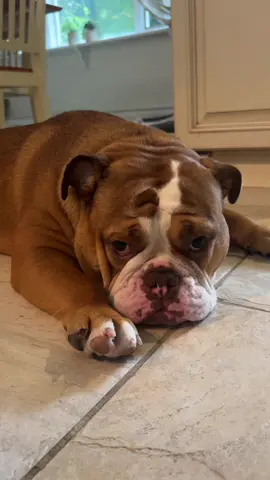 My lil turkey legs tootsie roll girl forever ❤️❤️❤️❤️❤️😭😭😭 my heart is absolutely broken I love you 