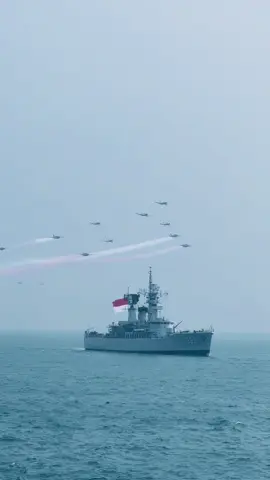 #military #fyp #navy #jalesvevajayamahe #tnial 