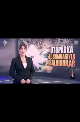 #dalton #candalton #daltonlarşehirde 