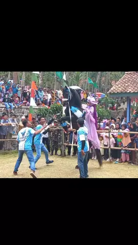 Membalas @cix_1321 Atraksi Kuda  Ridho illahi #arakarakan #kudajingkrakpurworejo #kudajoged #kuda #purworejo 