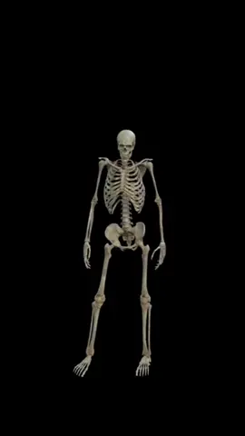 Skeleton dancing to Thriller. #michaeljackson #thriller #foryoupage❤️❤️ #fyp #creatorsearchinsights #littlethings #viraltiktok #dance #viralvideo 
