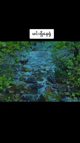 မင်းရှိနေရုံ ဝန #zawlinnhtun #tiktok #tiktokmyanmar #tiktokmyanmar🇲🇲 #Viral #fyp #foryoupag #မြင်ပါ🤗🤗🤗များပီးချစ်ကျွမ်းဝင်အောင်လို့🤒 #မြင်ပါများပြီးချစ်ကျွမ်းဝင်အောင်လို့😜🤗 #ရောက်ချင်တဲ့နေရာရောက်👌 #fypပေါ်ရောက်စမ်း #သီချင်းလေးကြိုက်လို့ပါ #သီချင်းလေးကြိုက်လို့ #သီချင်း #foryour 
