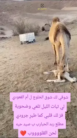 #_لحن_القلوووب_❤️ 