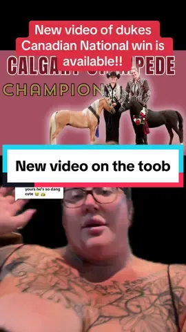 Replying to @joey/ari #greenscreen  id love it if you checked it out! Im still not great at editing but im working on it!! #video #shamelessplug #profile #minihorse #champion