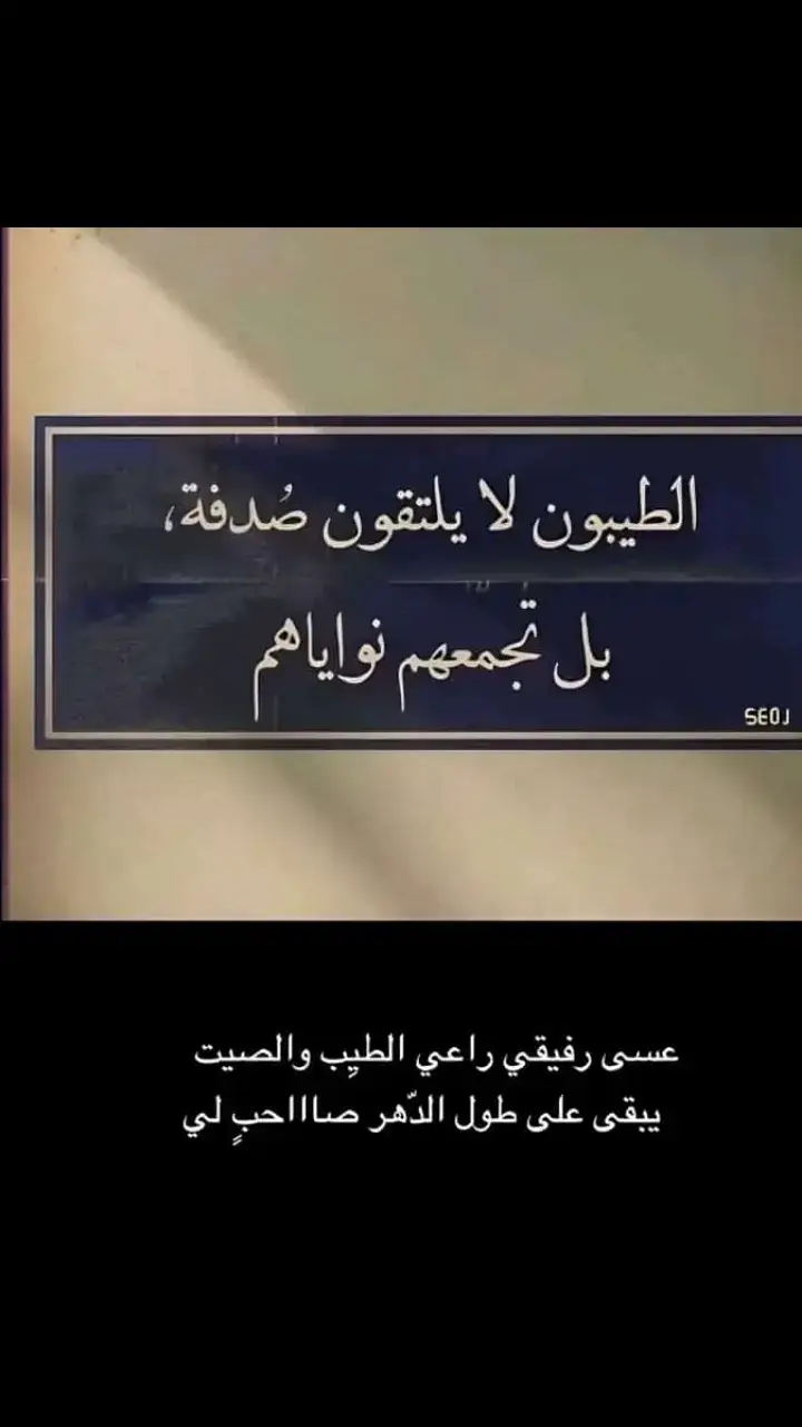 #اكسبلورexplore 