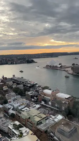 Cosy comforts on a moody morning? Oh yes! ☁️💫   🎥: @James Cole  #shangrilasydney #ilovesydney #sydneyharbour #sydneyoperahouse #luxuryhotels #roomwithaview #hotelwithaview #inroomdining #breakfastwithaview #sydneybreakfast