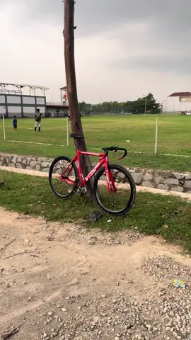 #fypシ゚viral #fixie