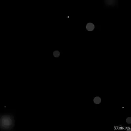 part 279 l Tadow #masego #fkj #slowedsongs #4you #fyp #lyrics #xxririxx 