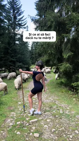 🐑 😃