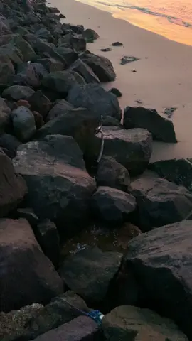 😇 #epyepe #senja #pantaisurindahtuban #pantaituban 