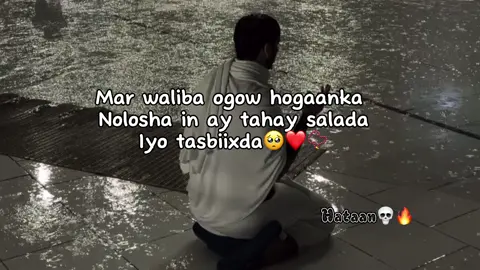 Wax walba ka hormari salada❤️‍🩹🥺🤲🫶🏾📿#fpy #vi #fpy #vi #fpy #viral #fpy #viral @丂  ㄒ ㄖ 几 乇 乙 💦👻🦕 #fpy #viral #fpy #foryou #jawibila🐬🌊 #fo #vi #vi 