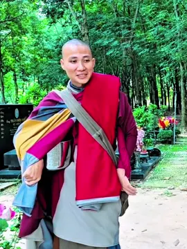 1 phút để ngắm vẻ hảo tướng sư Minh Thành, Adidaphat 😍🥰😜🙏 #xuhuong #thichminhtue #gaimienque ☘️🌸