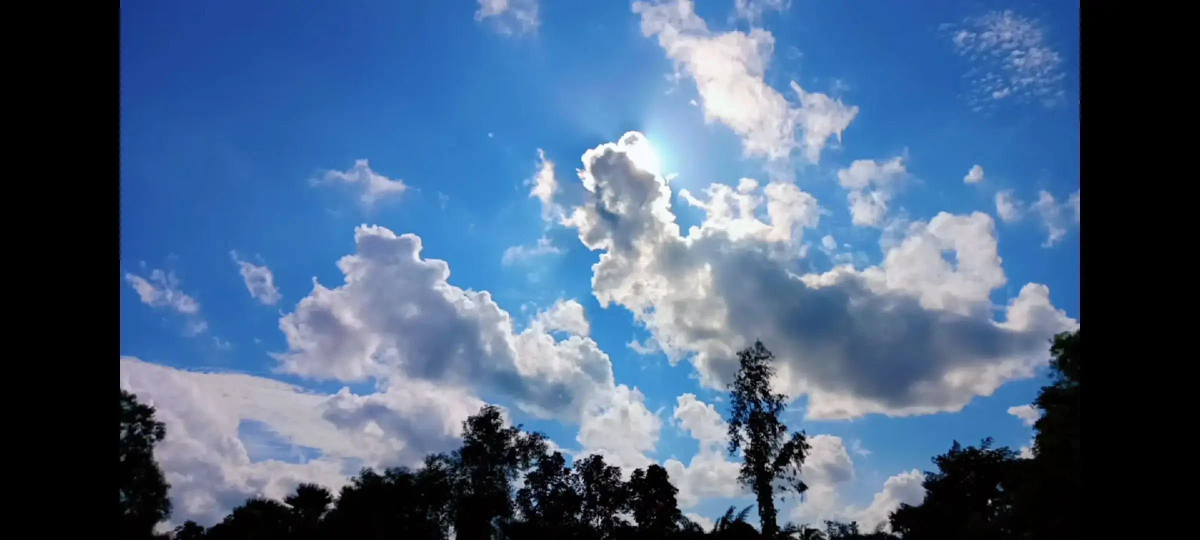 ~অন্য সকল চোখকে ফাঁকি দেওয়া সহজ হলেও ভালোবাসার চোখকে ফাঁকি দেওয়া সবথেকে কঠিন!!                      খুঁজে বের করবেই! 🥰🥰🥰