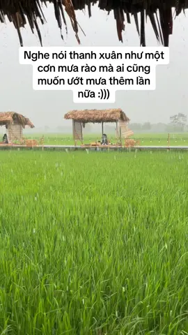 #travel #caferuongninhbinh #ruongcafeninhbinhchill #ninhbinhtrip #reviewninhbinh #xuhuongtiktok 