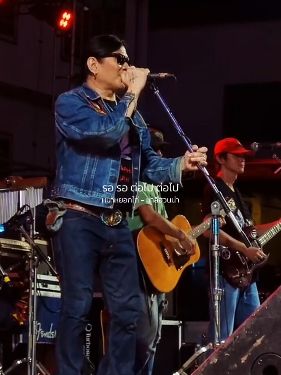 หมาหยอกไก่​ -​ มาลีฮวนน่า #รับโปรโมทเพลง #Influencer_music 