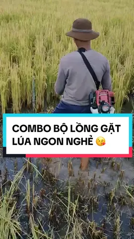 Lồng gặt lúa, gom cỏ cao cho bà con cô bác mình ạ. Bộ combo bao gồm 1 lồng gặt cao chắc chắn + 1 lưỡi tròn răng cưa 255mmx2T không rỉ. Sài bộ này thì vừa được nhanh tiện lợi mà còn cực kỳ bền với thời gian ạ 👍🥰🥰 @Điện Máy Ba Vì @Điện Máy Kiên Liên  #tiktoknews #tiktoknew #tiktokviral #xuhuongtiktok #longgatlua #gatlua #maycat #tiktok #xh 