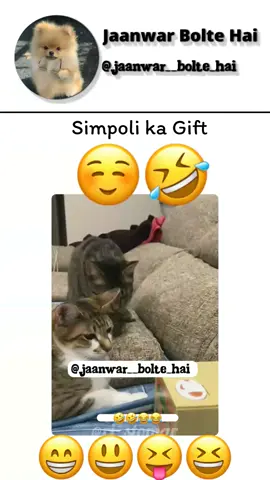 simpoli ka Gift 😂😂 #funny #funnyvideos #animalsoftiktok #animaldubbing #catsoftiktok #foryoupage #foryoy 