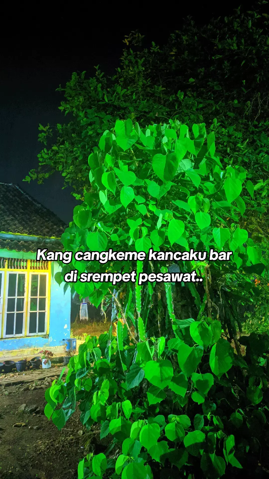 Nek ngomong ojo duwur duwur yo.. @eripras3_  #eripras3 #eripras #eripras3_ #eripraslive #fypageシ #zyxbca #bandingbandingke #rombongannyeni #soundviral #soundfypシ #4you #pageforyou #storymalam #guyonanjowo #jowostory 