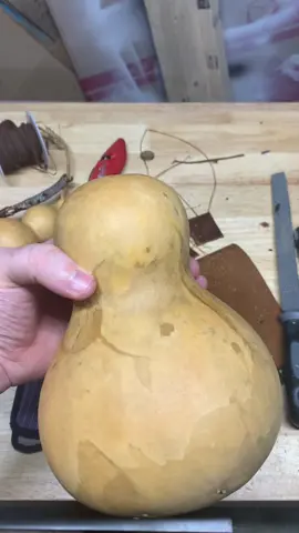 Gourd Water Bottle - LARGE! Part 1! #gourd #water #waterbottle #hydration #art #hobby #craft #crafts #woodcarving #DIY #homestead #honesteading #natural #allnatural #nature #green #noplastic 