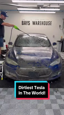 Dirtiest Tesla In The WORLD! #wddetailing #detailing #satisfying #trending #carcleaning #barnfind #fyp #carwash #trend #asmr #pressurewashing #satisfyingvideos #cardetailing #extractions #tesla 