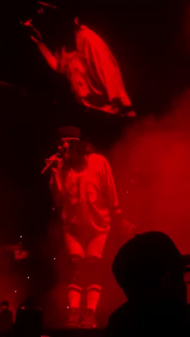 THE DINERR AHHHH #billieeilish  #billieeilishconcert #hitmehardandsofttour #quebec #fyp #concert #hmhas #thediner @BILLIE EILISH 