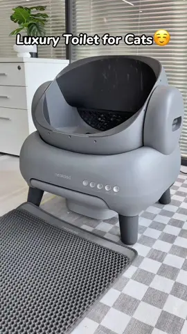 litter box #CatProducts #cat#catlitterbox #Petproducts #couple #neakasa #Raisecats 