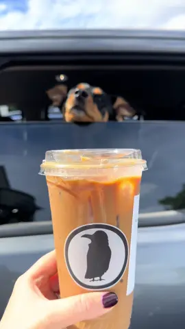 girl loves her @Rook Coffee #rook #rookcoffee #newjersey #jerseyshore 