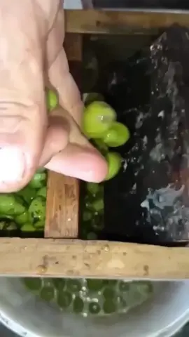 Crushing olives to extract olive oil