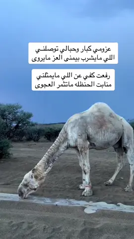 #شعراء_وذواقين_الشعر_الشعبي 