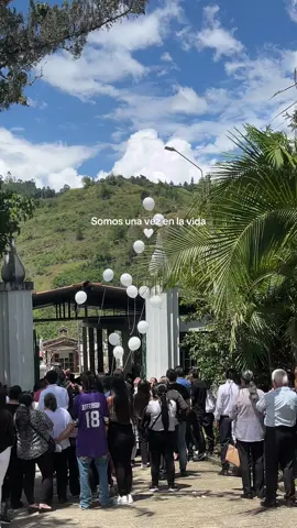 Vuela muy alto 🤍🕊️ #fyp #paratii #foryou 