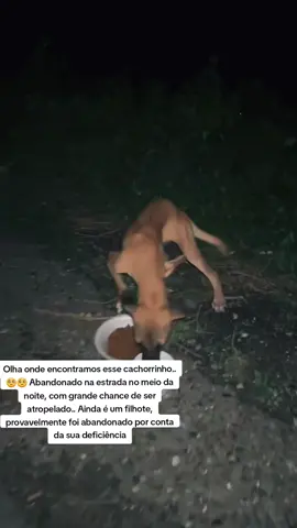 Coitadinho dele 🥺🥺 #pet #cachorro #cachorrosnotiktok #PetsOfTikTok #cachorrofofo #cachorrosdotiktok #petlover #viralata #viralatacaramelo #viralataslove🦋 
