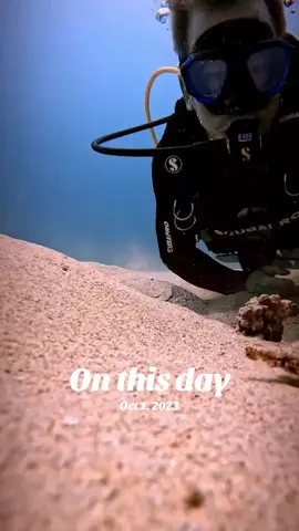 #onthisday