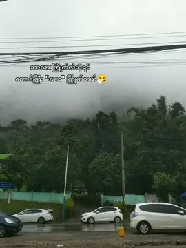 တောင်ကြီးသား