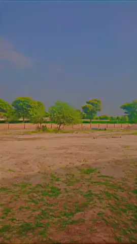 neutral beauty #fyp #tiktok #viralvideo 