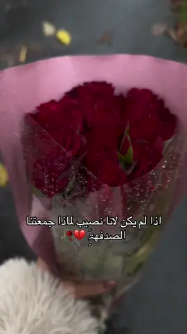 اذا لم يڪن لانا نصيب لماذا جمعتنا الصدفهۃَِ 💔🥀#fyp #هولندا🇳🇱 #