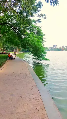 Hà Nội mùa này lòng bao nỗi nhớ, ta nhớ đêm nao lạnh đôi tay, hơi ấm trao em tuổi thơ ngây, tưởng như, tưởng như còn đây❤️#hanoimuathu #hanoipho #hanoi #viral #fyp #xuhuongtiktok #hoguom 