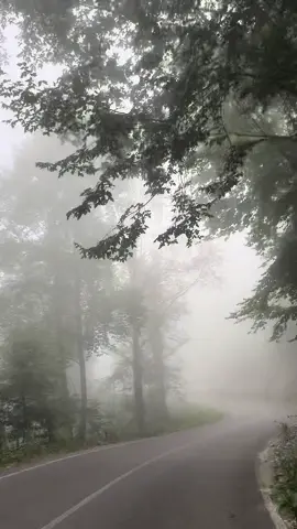 🌿🌫️🗻☁️’ #keşfet #beniöneçıkart #fypシ゚ #hatay #storylikvideolar📌 #sisbulutu #arsuz #iskenderun #erzin #dörtyol #osmaniye #üçkozyaylası #zorkunyaylası