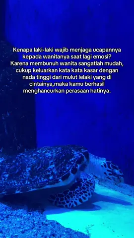 #jakartaaquarium #pisces #fyp #fypシ゚ #fouryou #xyzbca #katakata 
