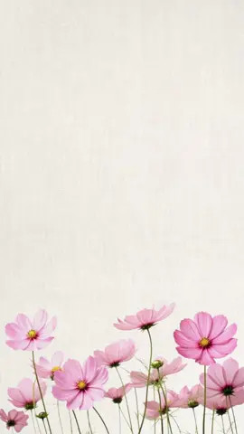 بيبي ورد طلب زبونة🩷#اكسبلور#دعوات_الكترونيه #بشارة_مولودة #بشارة_مواليد #explore #foryou #fypシ 