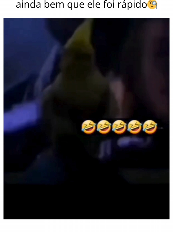 a calopsita 🤣 #animaisengraçados 