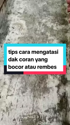 cara mengatasi dak coran yang bocor atau rembes #anakproyek #bangunan #2024tiktok #tukangbangunan 