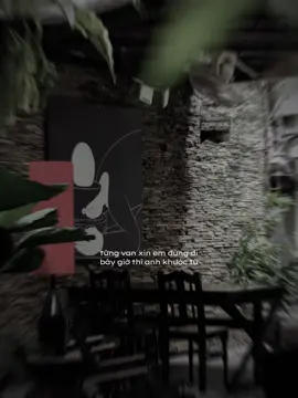 từng đã yêu em nhưng giờ thì không #ninh09_music #tamtrang #xuhuong #fyp 