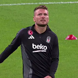 Gol Kralı👑 Ciro İmmobile#beşiktaş #edit #fyp #keşfet #immobile #viral 
