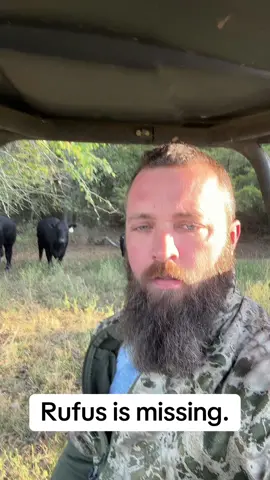 #rufusthebull #redfordthebull #redfordthebull 