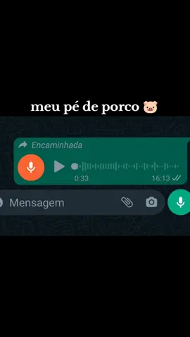 tiazinha atissasada #pedeporco #audios #whats #status #fy 