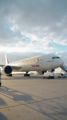 Toàn cảnh hàng hóa đưa lên khoang máy bay đến lúc bay 💘 #aircargo✈️ #vietnam #saigon #travel #saigoncargo #logistics #xuhuongtiktok 