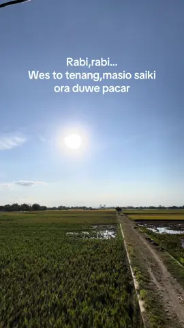 Tenang tulung infonen aku lek nek ono 😂#padidarat🌾 #bledukbanget #gabahbalap🌾 #fypシ゚ #berasbalap #lewatberanda #masukberanda #padi #fyp #storytime #foryuo #fouryourpage 